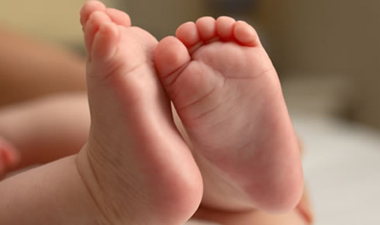 Topuk Kanı Özellikleri ve Faydaları Nelerdir?